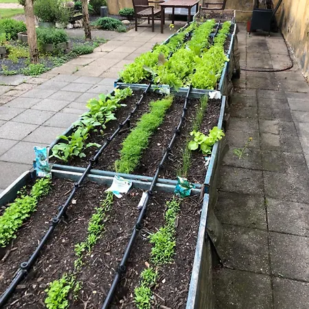 بيت ريفي Kongeakroen 2*