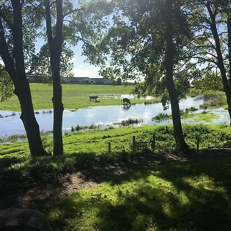 Kongeakroen Brørup