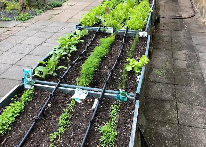 Gasthof Kongeakroen 2*